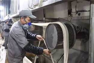 创新驱动，绿色赋能——阿拉尔中泰纺织科技公司毛型纤维新产品成功下线