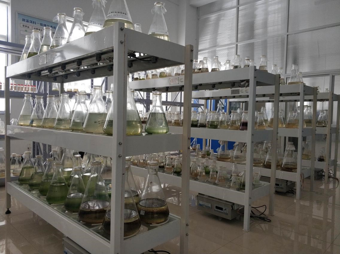 山东省海洋经济藻类资源开发与利用工程技术协同创新中心