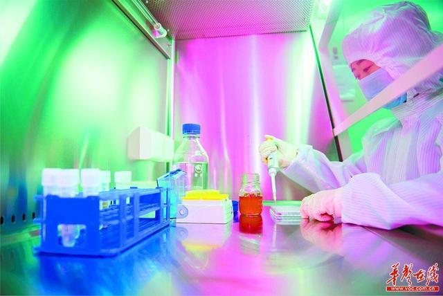 科技创新促产业转型 生物科技研究开发的战略意义与实践路径