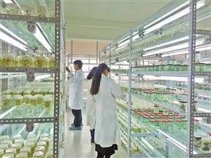 三保奇花 生物科技赋能产业升级，生物农药扬帆出海
